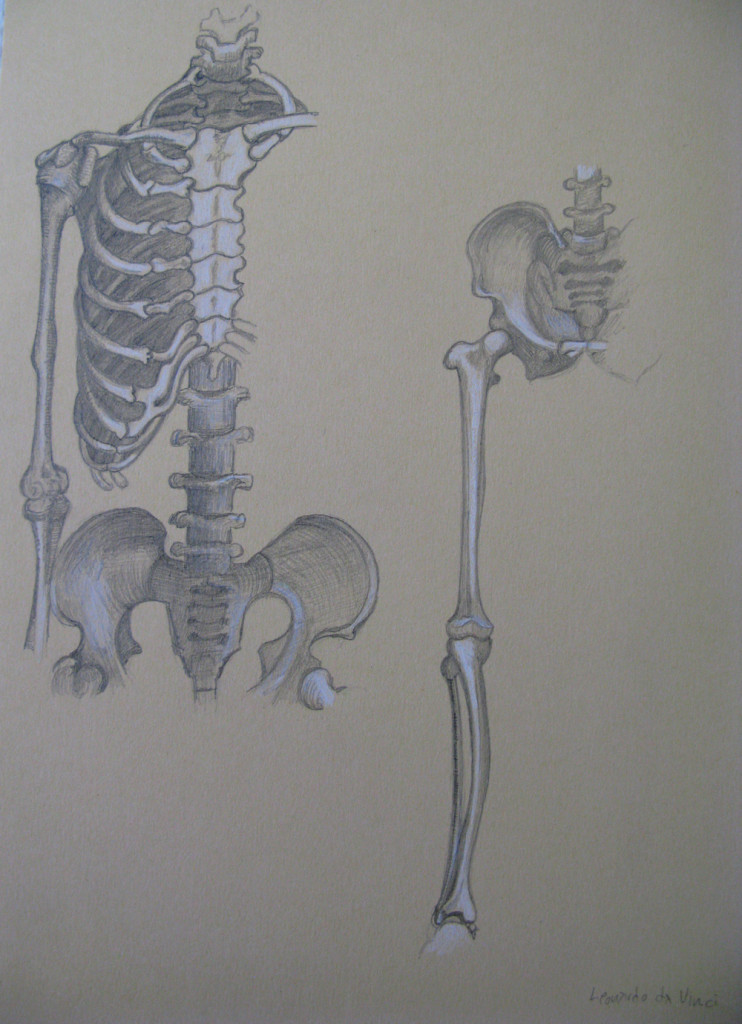  Leonardo da Vinci human skeleton